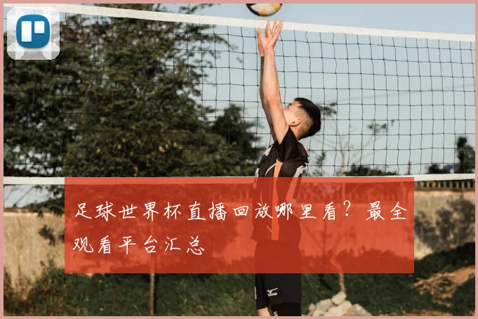 足球世界杯直播回放哪里看？最全观看平台汇总